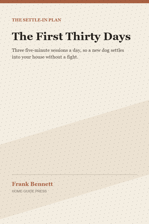 The First Thirty Days cover