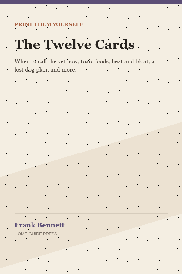 The Twelve Cards cover