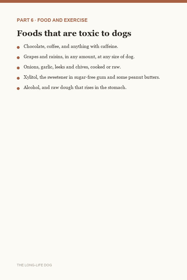 Page from Part 6: foods that are toxic to dogs