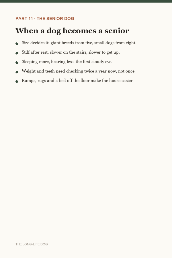 Page from Part 11: when a dog becomes a senior