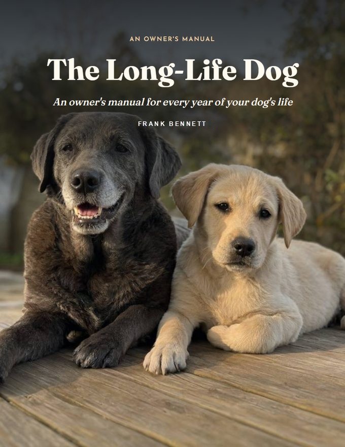Cover of The Long-Life Dog